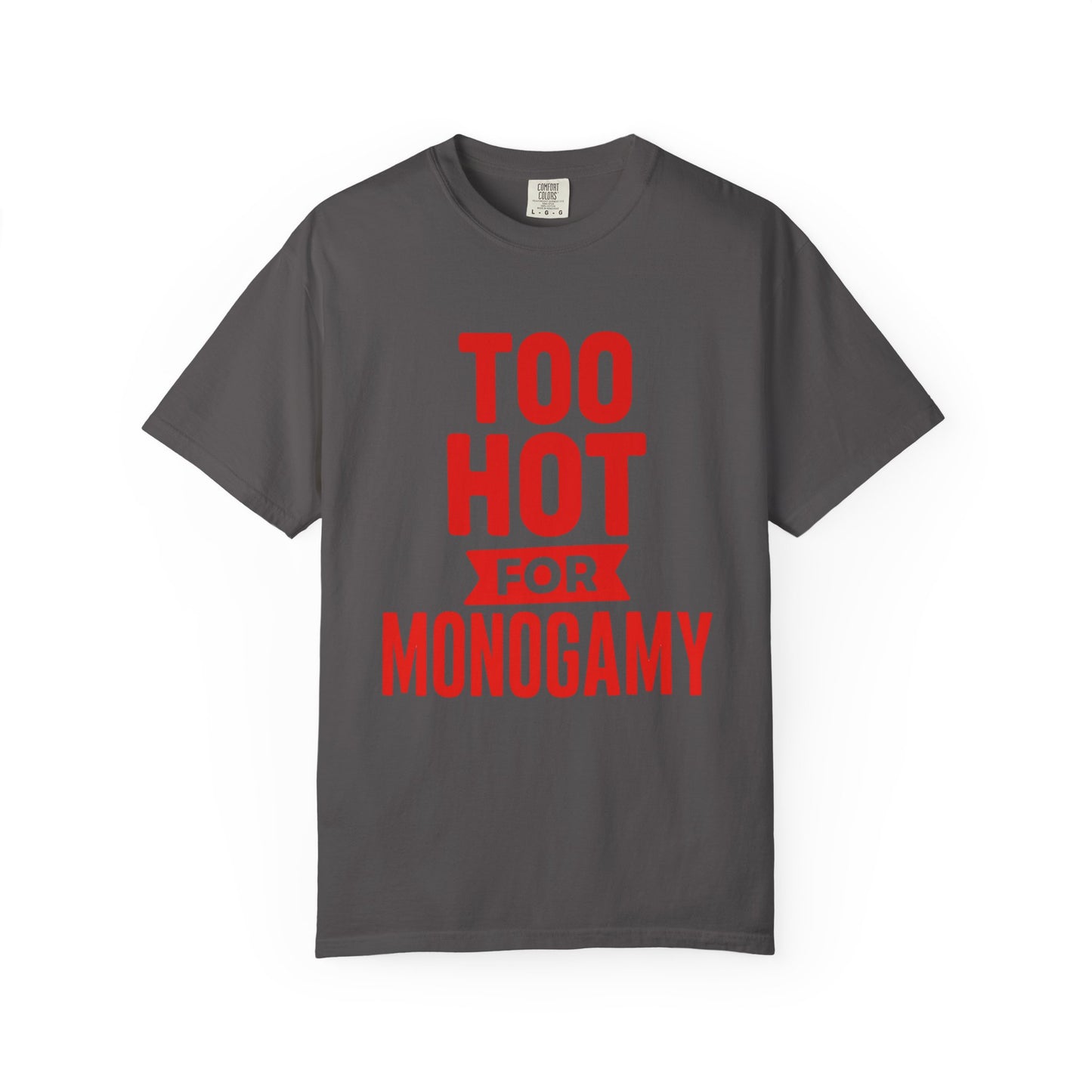 Too Hot for Monogamy LGBTQIA Shirt, Polyamory Pride T-Shirt, Polyamorous Gay Throuple Tee, Gift for Queer Swingers, Open Relationship Tshirt