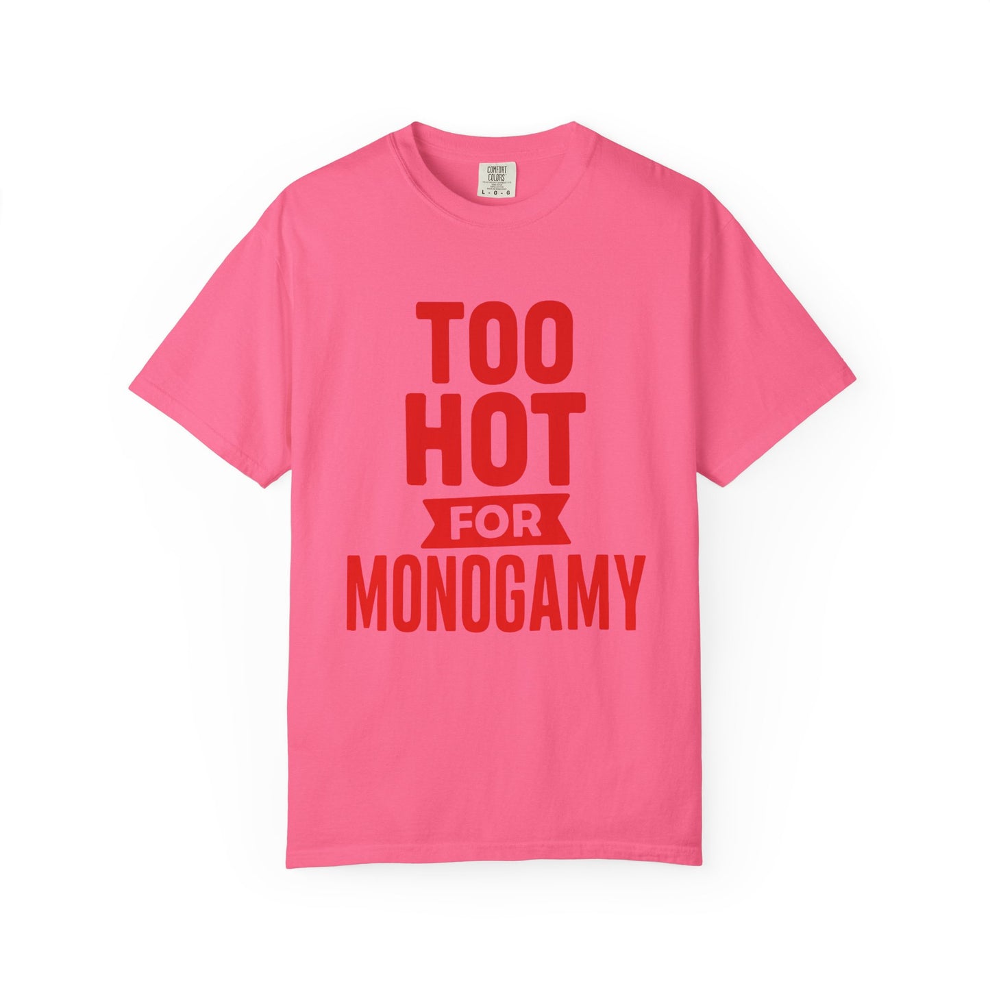 Too Hot for Monogamy LGBTQIA Shirt, Polyamory Pride T-Shirt, Polyamorous Gay Throuple Tee, Gift for Queer Swingers, Open Relationship Tshirt
