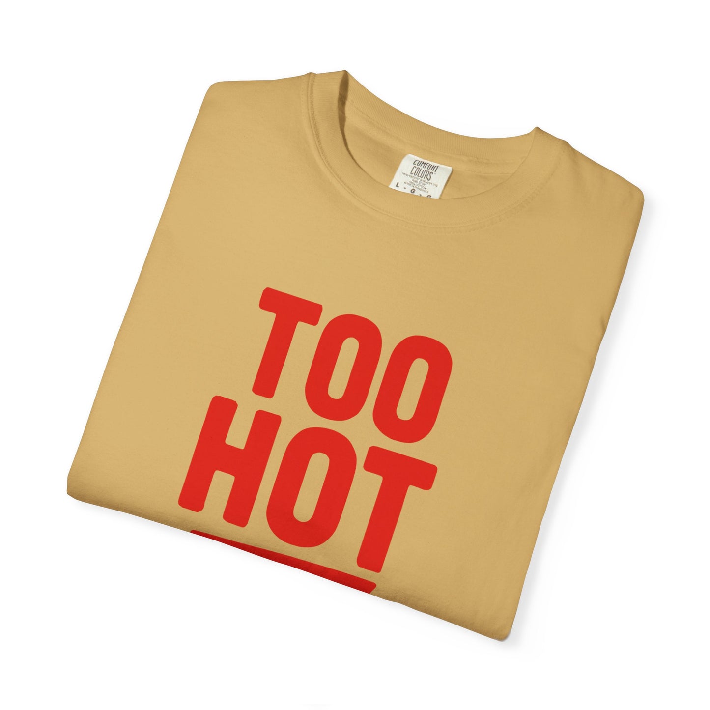 Too Hot for Monogamy LGBTQIA Shirt, Polyamory Pride T-Shirt, Polyamorous Gay Throuple Tee, Gift for Queer Swingers, Open Relationship Tshirt