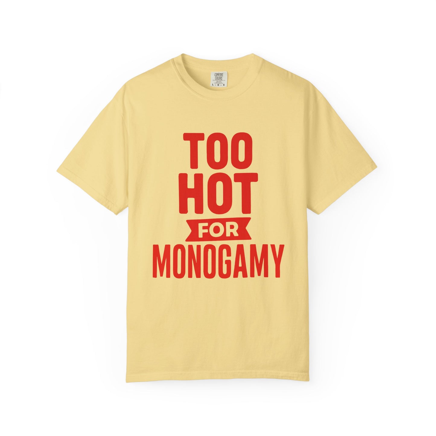Too Hot for Monogamy LGBTQIA Shirt, Polyamory Pride T-Shirt, Polyamorous Gay Throuple Tee, Gift for Queer Swingers, Open Relationship Tshirt