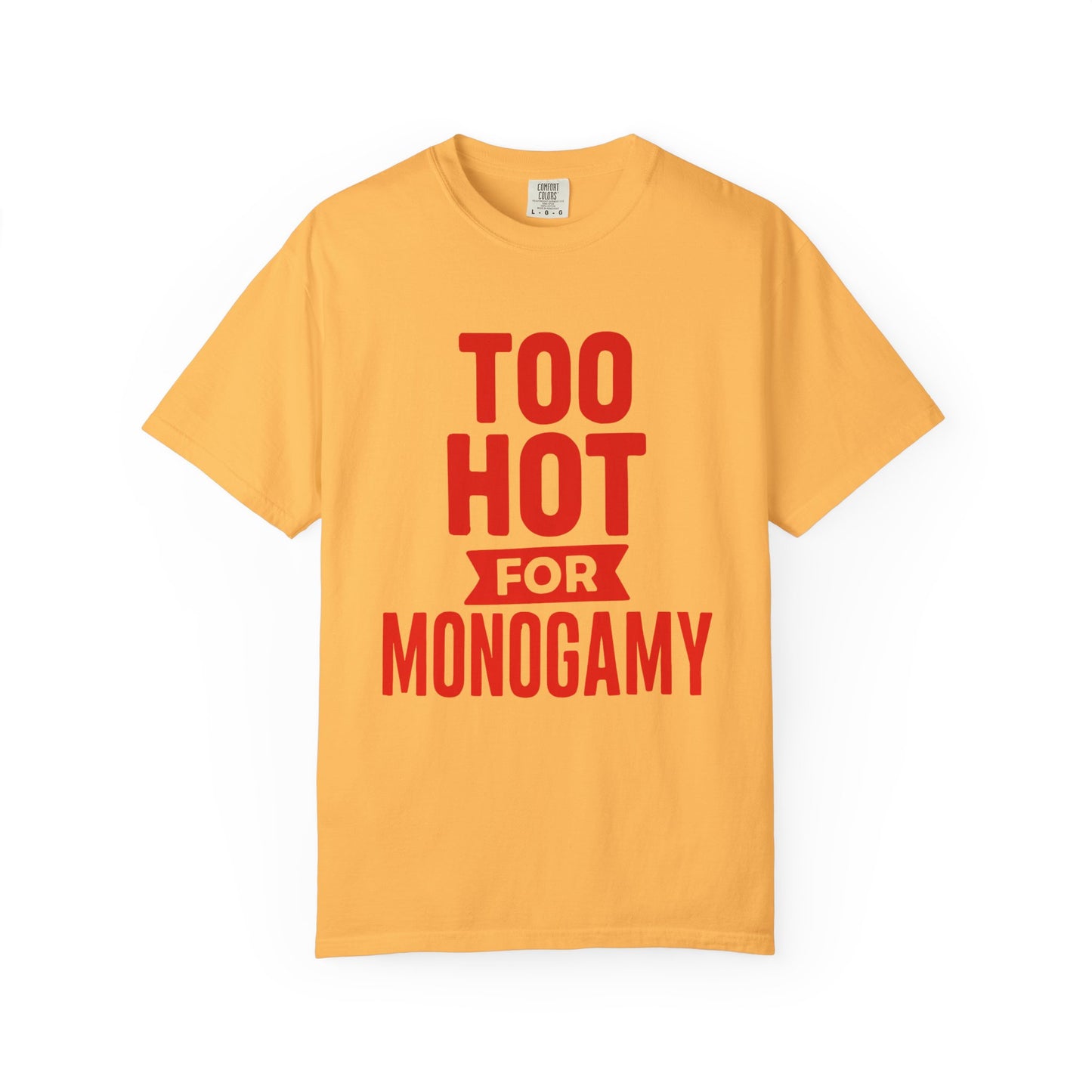 Too Hot for Monogamy LGBTQIA Shirt, Polyamory Pride T-Shirt, Polyamorous Gay Throuple Tee, Gift for Queer Swingers, Open Relationship Tshirt