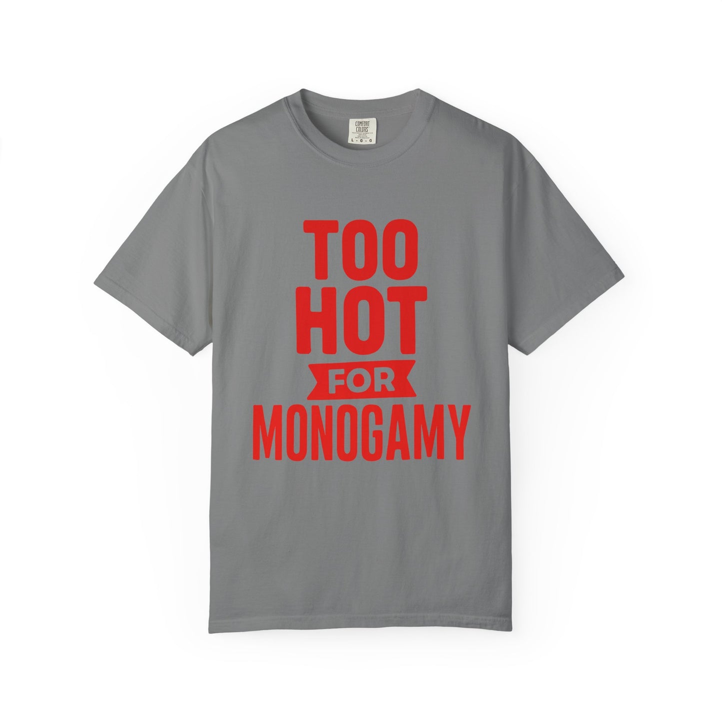 Too Hot for Monogamy LGBTQIA Shirt, Polyamory Pride T-Shirt, Polyamorous Gay Throuple Tee, Gift for Queer Swingers, Open Relationship Tshirt