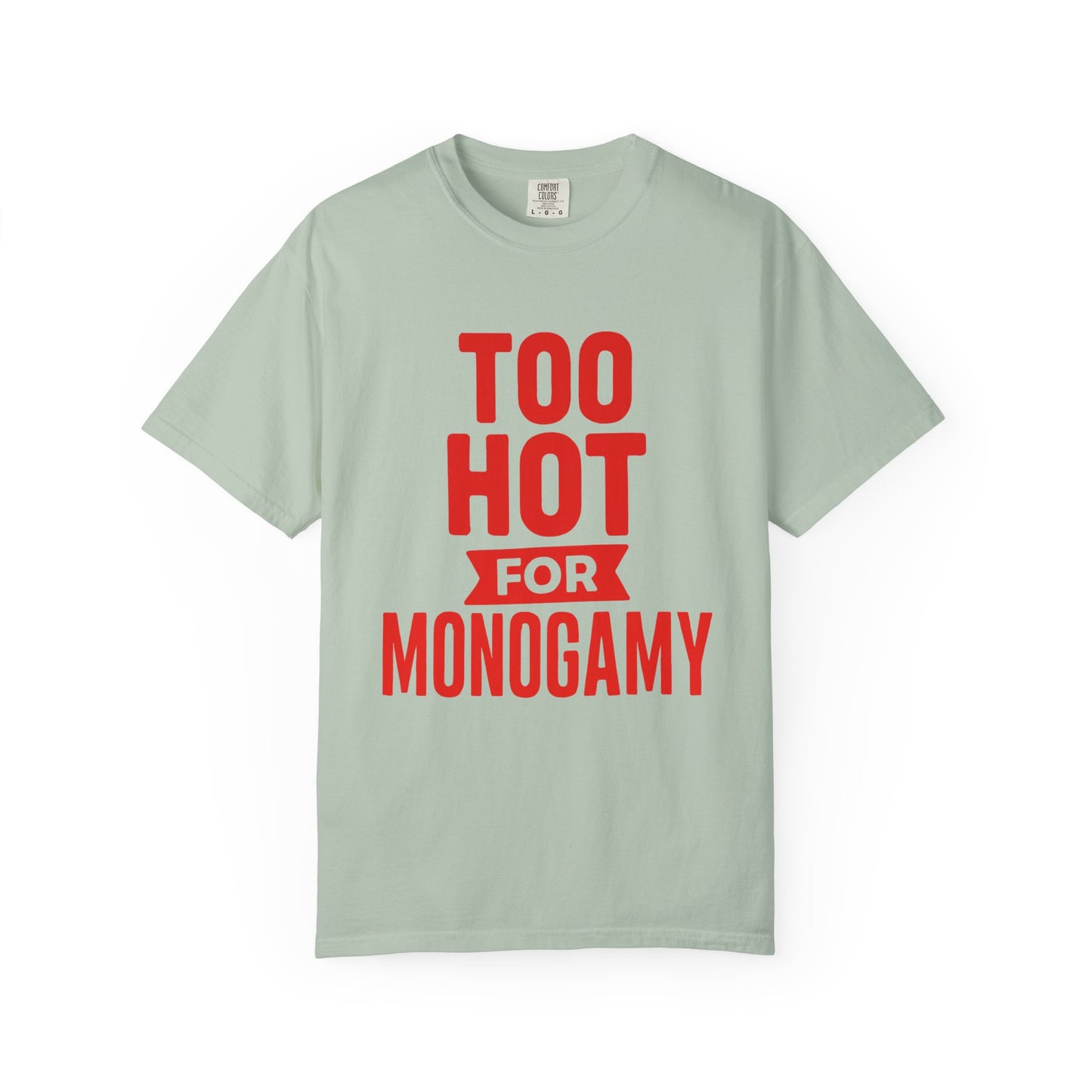 Too Hot for Monogamy LGBTQIA Shirt, Polyamory Pride T-Shirt, Polyamorous Gay Throuple Tee, Gift for Queer Swingers, Open Relationship Tshirt
