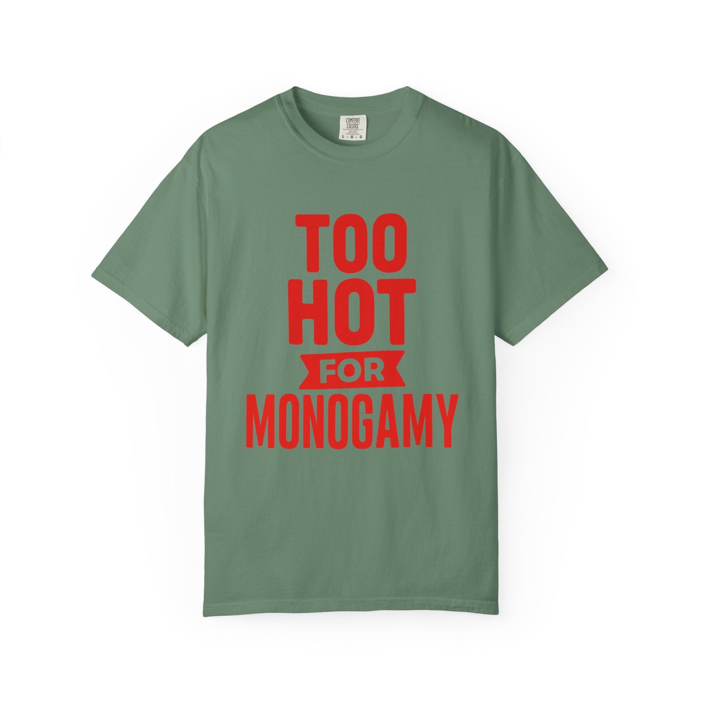 Too Hot for Monogamy LGBTQIA Shirt, Polyamory Pride T-Shirt, Polyamorous Gay Throuple Tee, Gift for Queer Swingers, Open Relationship Tshirt