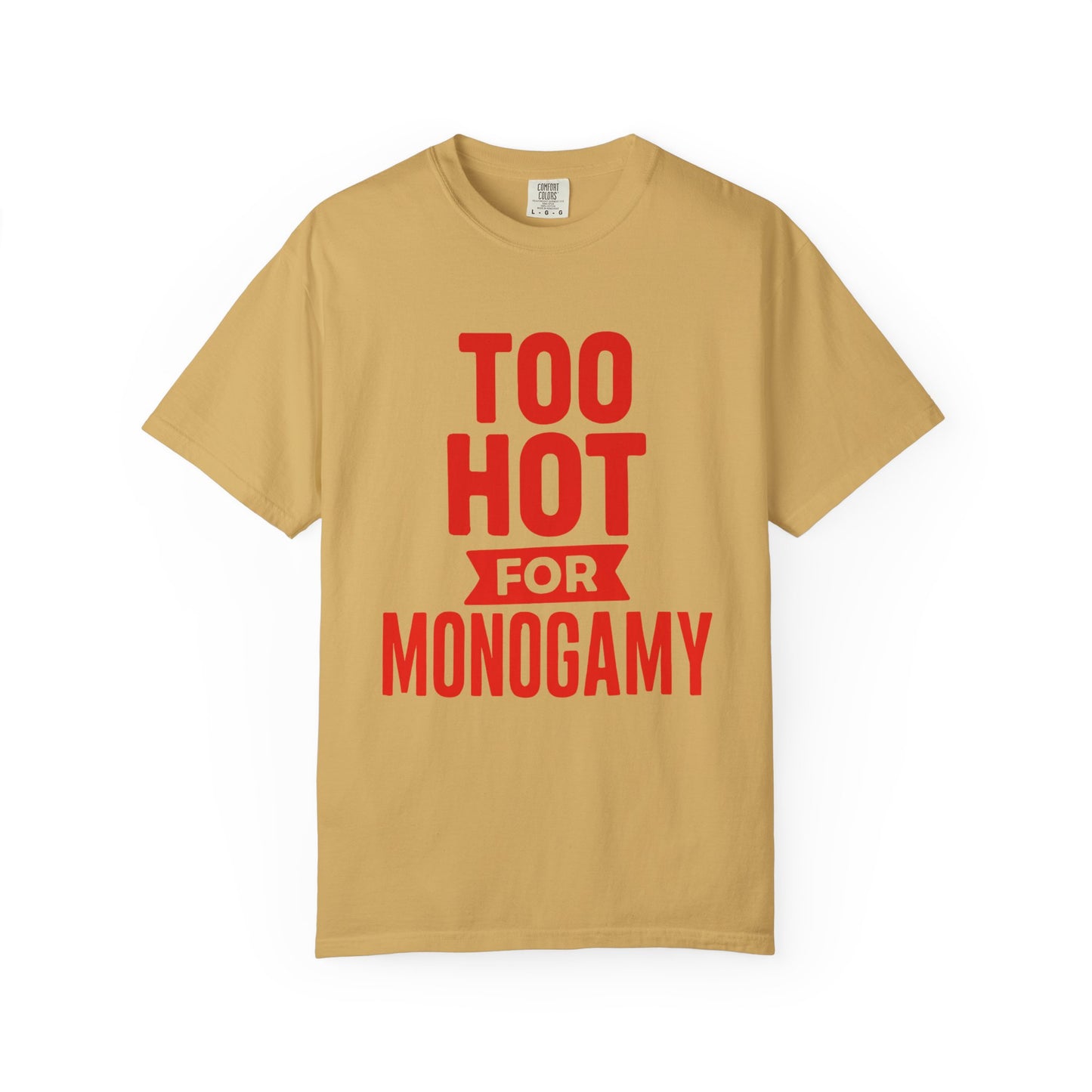 Too Hot for Monogamy LGBTQIA Shirt, Polyamory Pride T-Shirt, Polyamorous Gay Throuple Tee, Gift for Queer Swingers, Open Relationship Tshirt