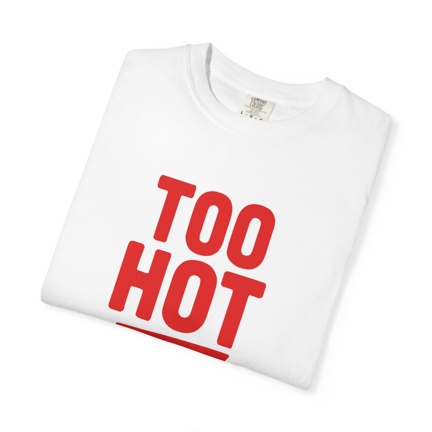 Too Hot for Monogamy LGBTQIA Shirt, Polyamory Pride T-Shirt, Polyamorous Gay Throuple Tee, Gift for Queer Swingers, Open Relationship Tshirt