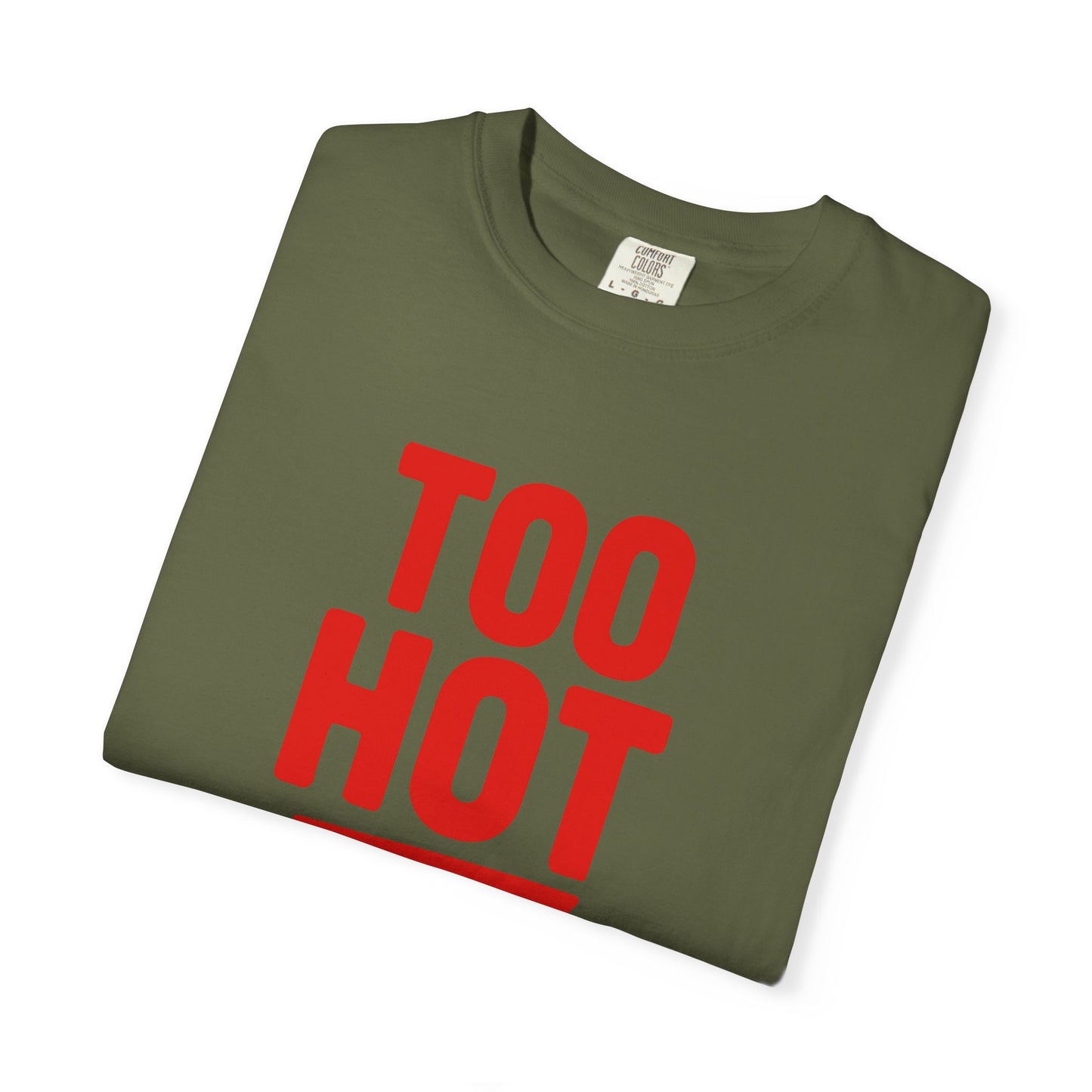 Too Hot for Monogamy LGBTQIA Shirt, Polyamory Pride T-Shirt, Polyamorous Gay Throuple Tee, Gift for Queer Swingers, Open Relationship Tshirt