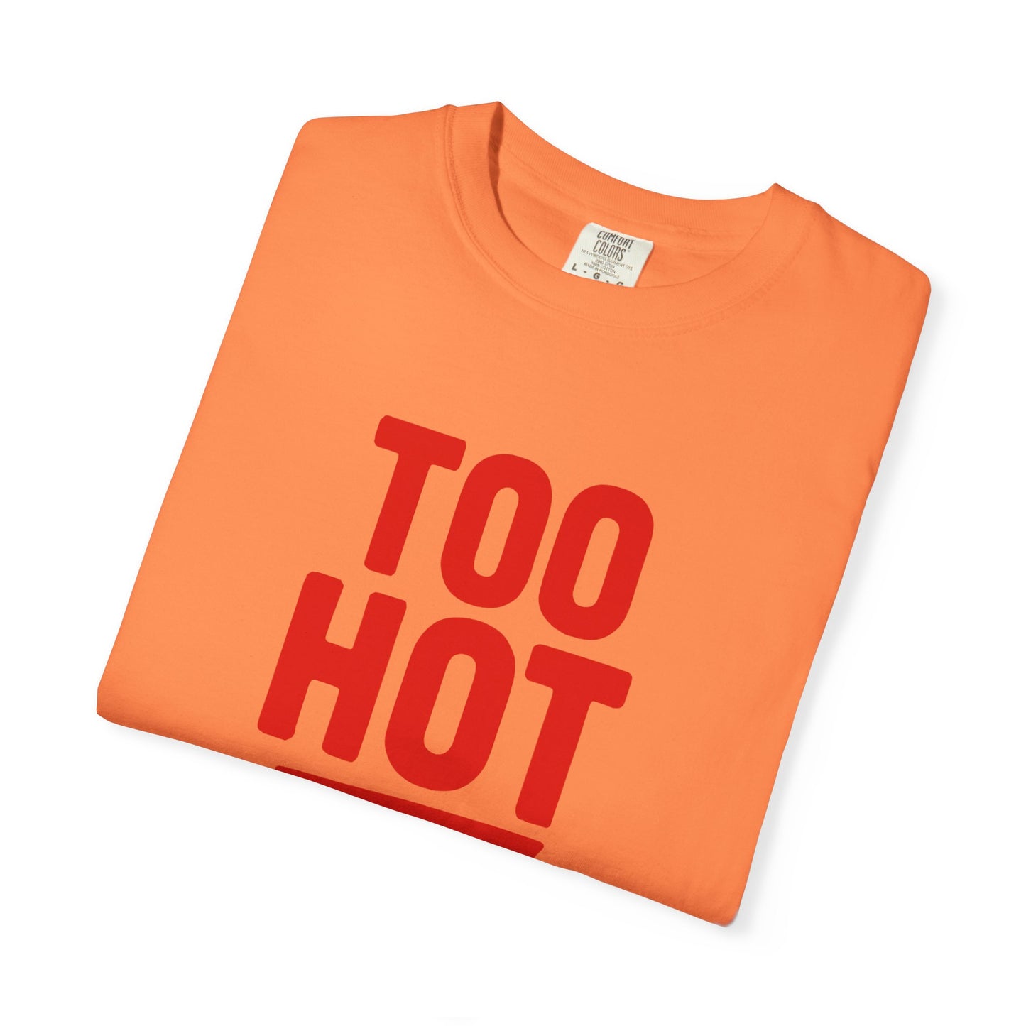 Too Hot for Monogamy LGBTQIA Shirt, Polyamory Pride T-Shirt, Polyamorous Gay Throuple Tee, Gift for Queer Swingers, Open Relationship Tshirt