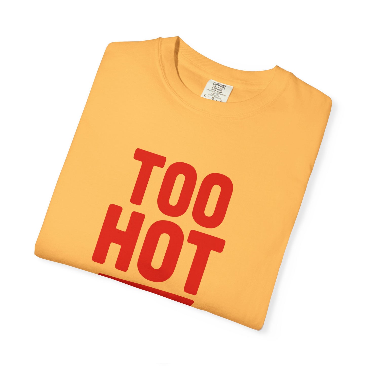 Too Hot for Monogamy LGBTQIA Shirt, Polyamory Pride T-Shirt, Polyamorous Gay Throuple Tee, Gift for Queer Swingers, Open Relationship Tshirt
