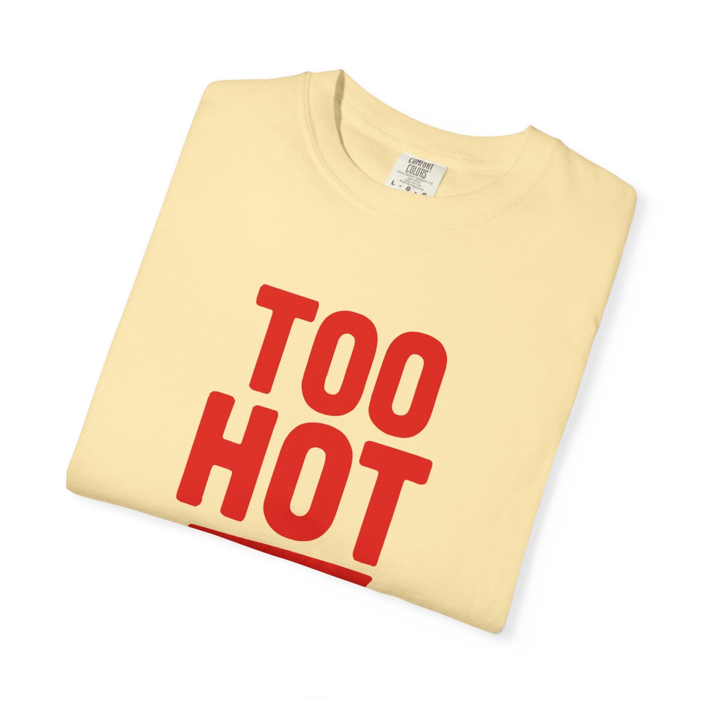 Too Hot for Monogamy LGBTQIA Shirt, Polyamory Pride T-Shirt, Polyamorous Gay Throuple Tee, Gift for Queer Swingers, Open Relationship Tshirt