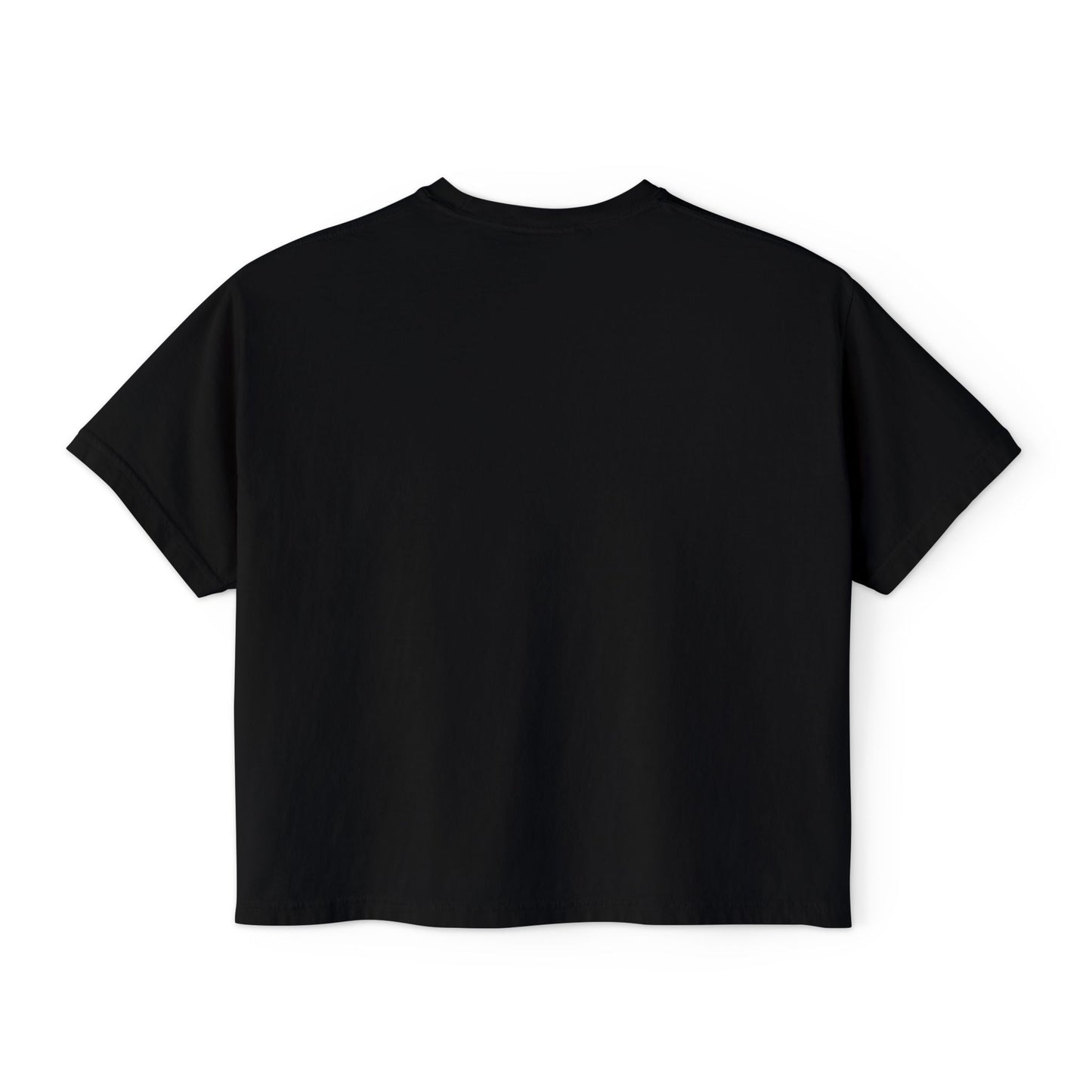 WARNING Sister Wives Trip in Progress Women's Boxy Tee, Matching Couples T-Shirt