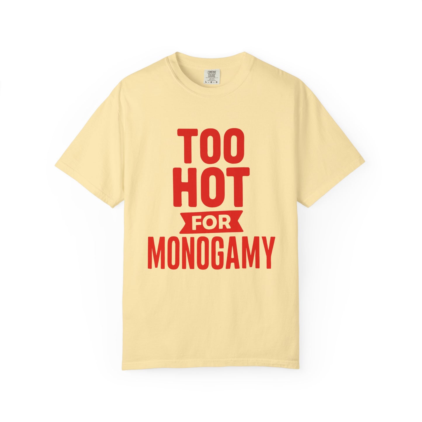 Too Hot for Monogamy LGBTQIA Shirt, Polyamory Pride T-Shirt, Polyamorous Gay Throuple Tee, Gift for Queer Swingers, Open Relationship Tshirt