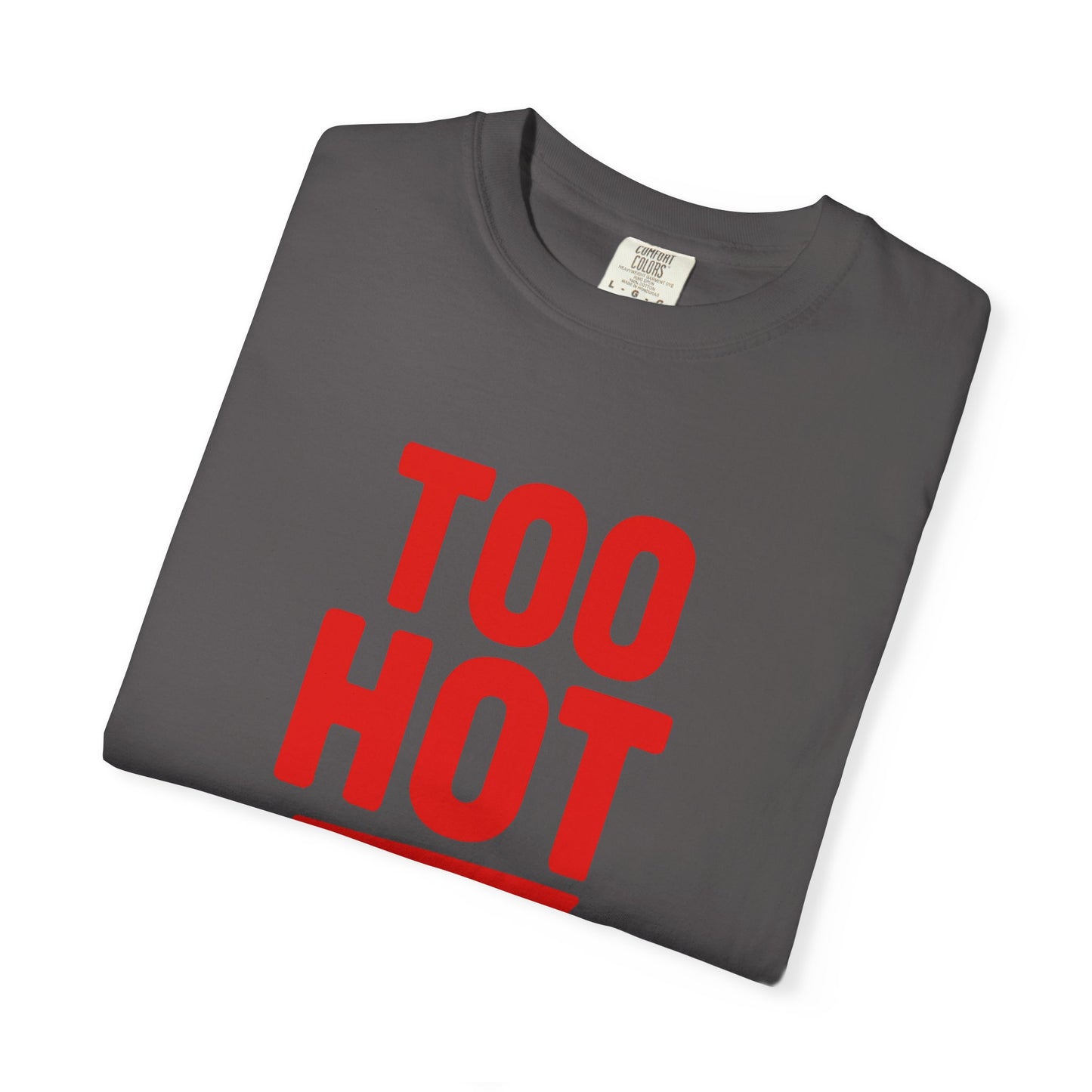 Too Hot for Monogamy LGBTQIA Shirt, Polyamory Pride T-Shirt, Polyamorous Gay Throuple Tee, Gift for Queer Swingers, Open Relationship Tshirt