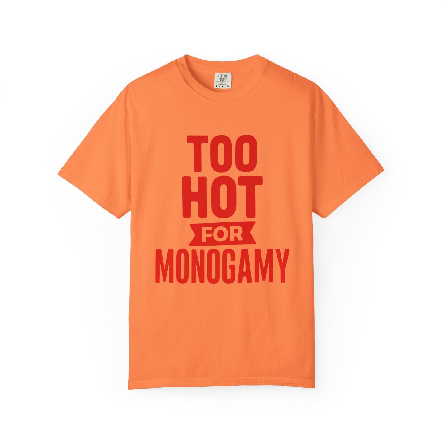 Too Hot for Monogamy LGBTQIA Shirt, Polyamory Pride T-Shirt, Polyamorous Gay Throuple Tee, Gift for Queer Swingers, Open Relationship Tshirt