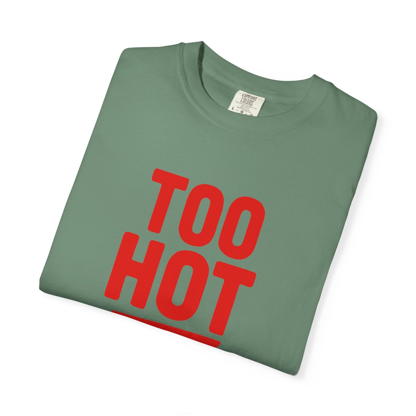 Too Hot for Monogamy LGBTQIA Shirt, Polyamory Pride T-Shirt, Polyamorous Gay Throuple Tee, Gift for Queer Swingers, Open Relationship Tshirt