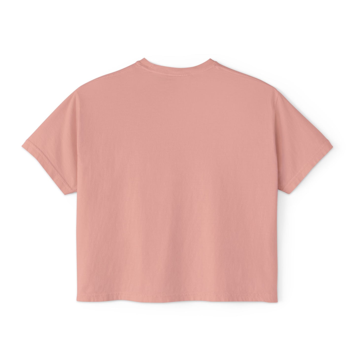WARNING Sister Wives Trip in Progress Women's Boxy Tee, Matching Couples T-Shirt