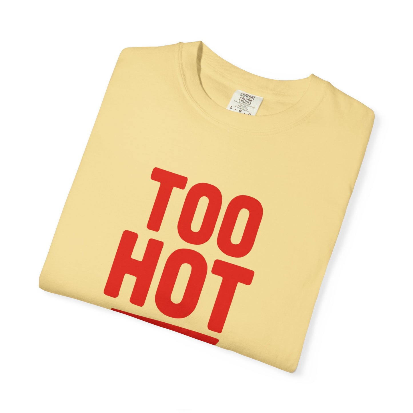 Too Hot for Monogamy LGBTQIA Shirt, Polyamory Pride T-Shirt, Polyamorous Gay Throuple Tee, Gift for Queer Swingers, Open Relationship Tshirt